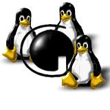 Unofficial PNPI Linux PC-Farm Logo