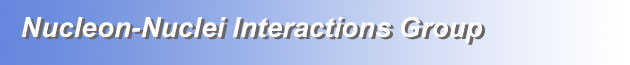 Nucleon-Nuclei Interactions Group